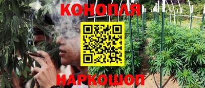 дурь Заводоуковск