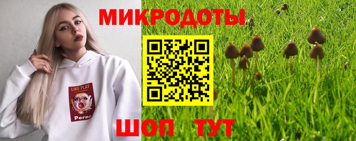 Галлюциногенные грибы Cubensis Мирный