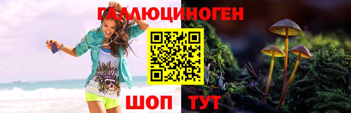 Мирный  Псилоцибиновые грибы мицелий  Псилоцибиновые грибы Psilocybe  Вход с VPN 